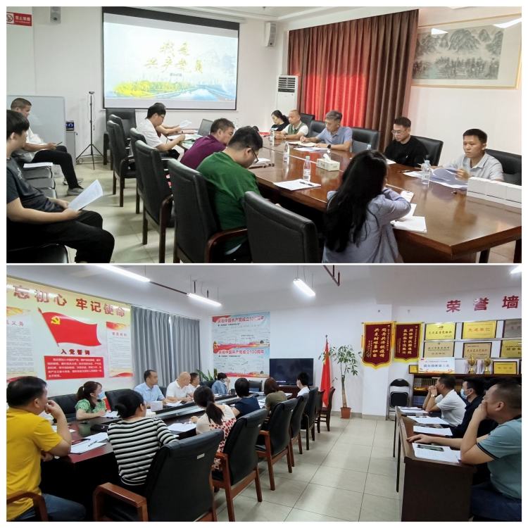 市環(huán)發(fā)公司黨支部召開黨的二十大精神專題學(xué)習(xí)會(huì)暨增補(bǔ)支委選舉大會(huì)